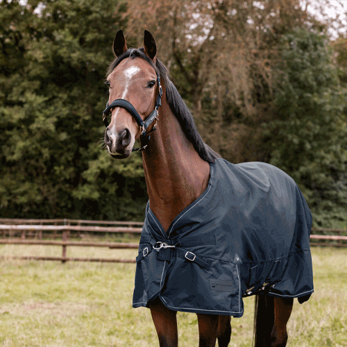 Protection in All Weather Conditions