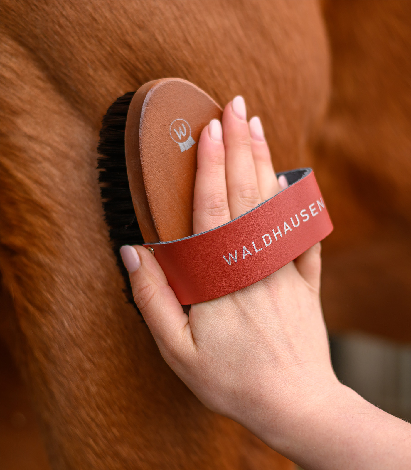 Kardätsche HardWood, Synthetikborsten