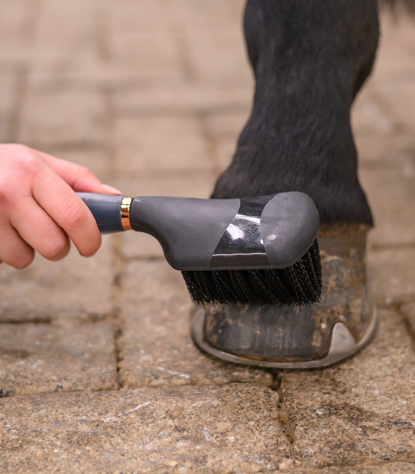 Brosse à sabots avec poignée gel