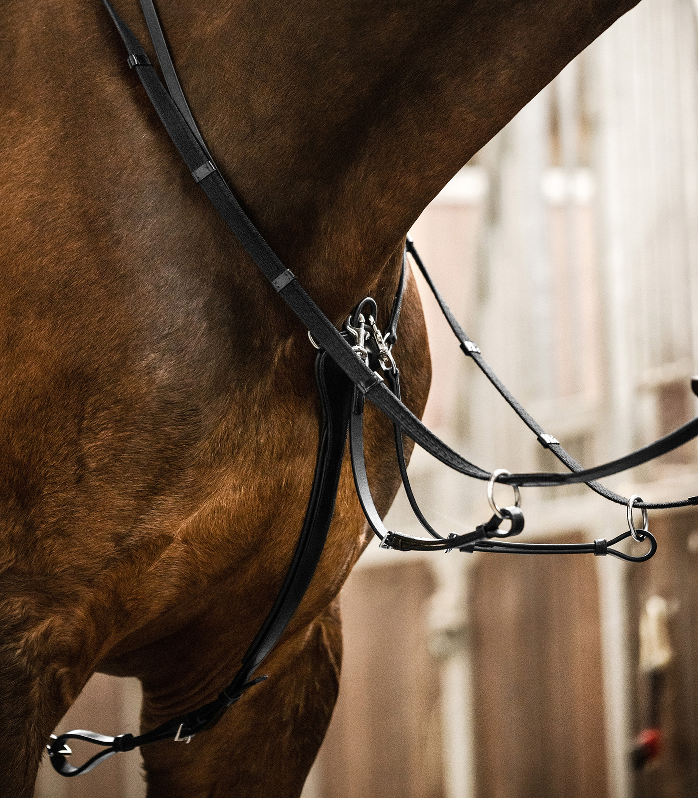 Waldhausen X-Line Martingale Professional