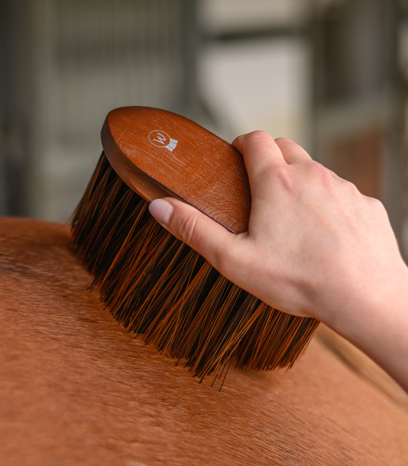 Brosse poussière HardWood
