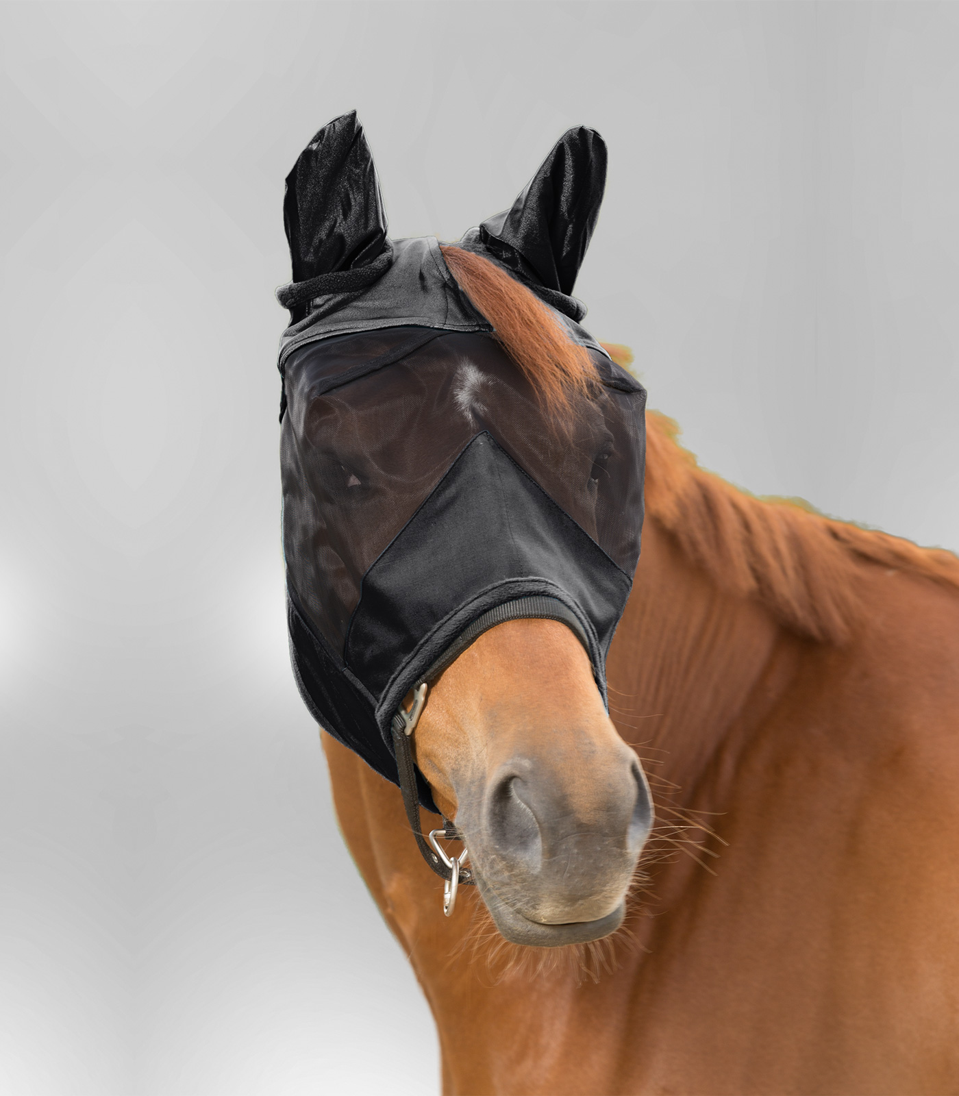 PREMIUM Fly Mask with ear protection