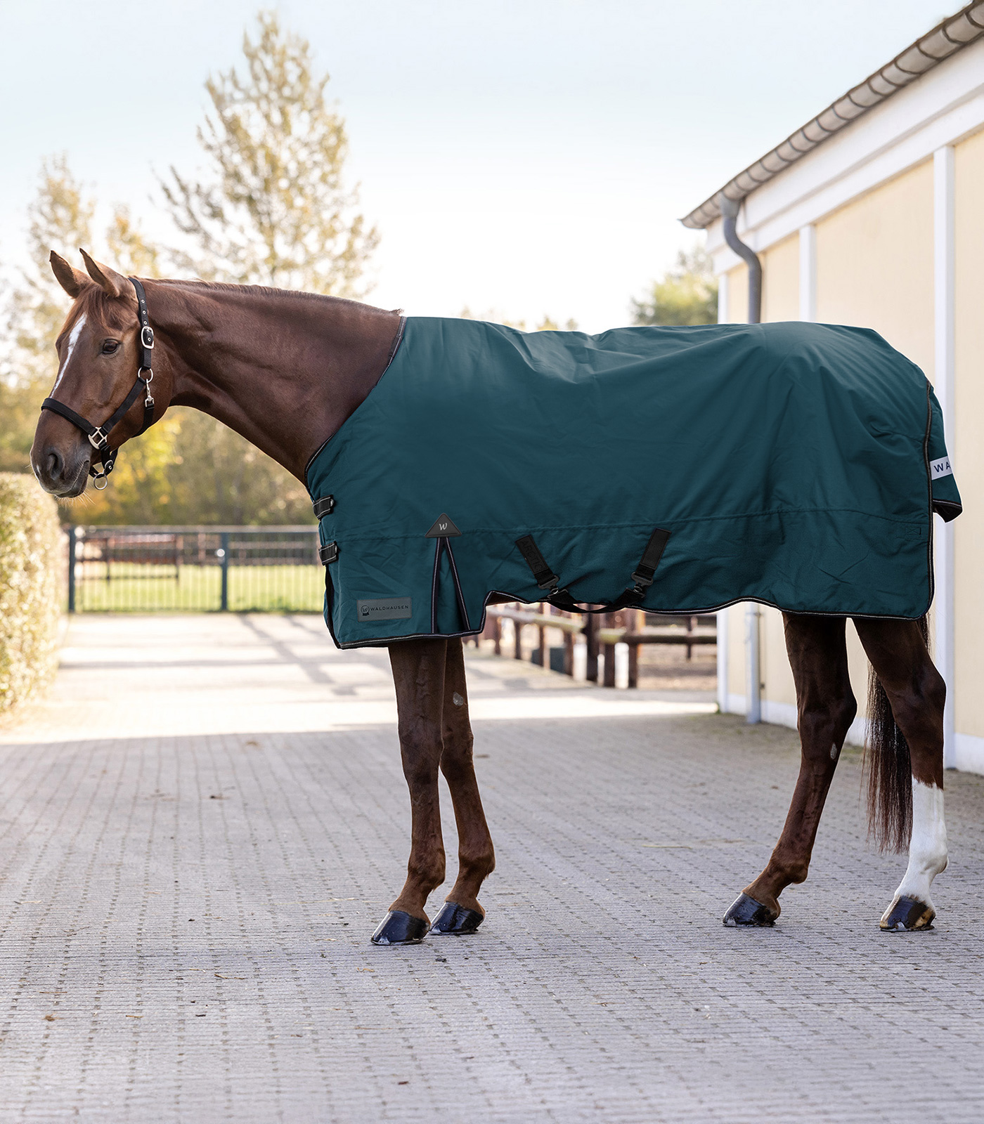 ARCTIC Turnout Rug, 300 g petrol blue
