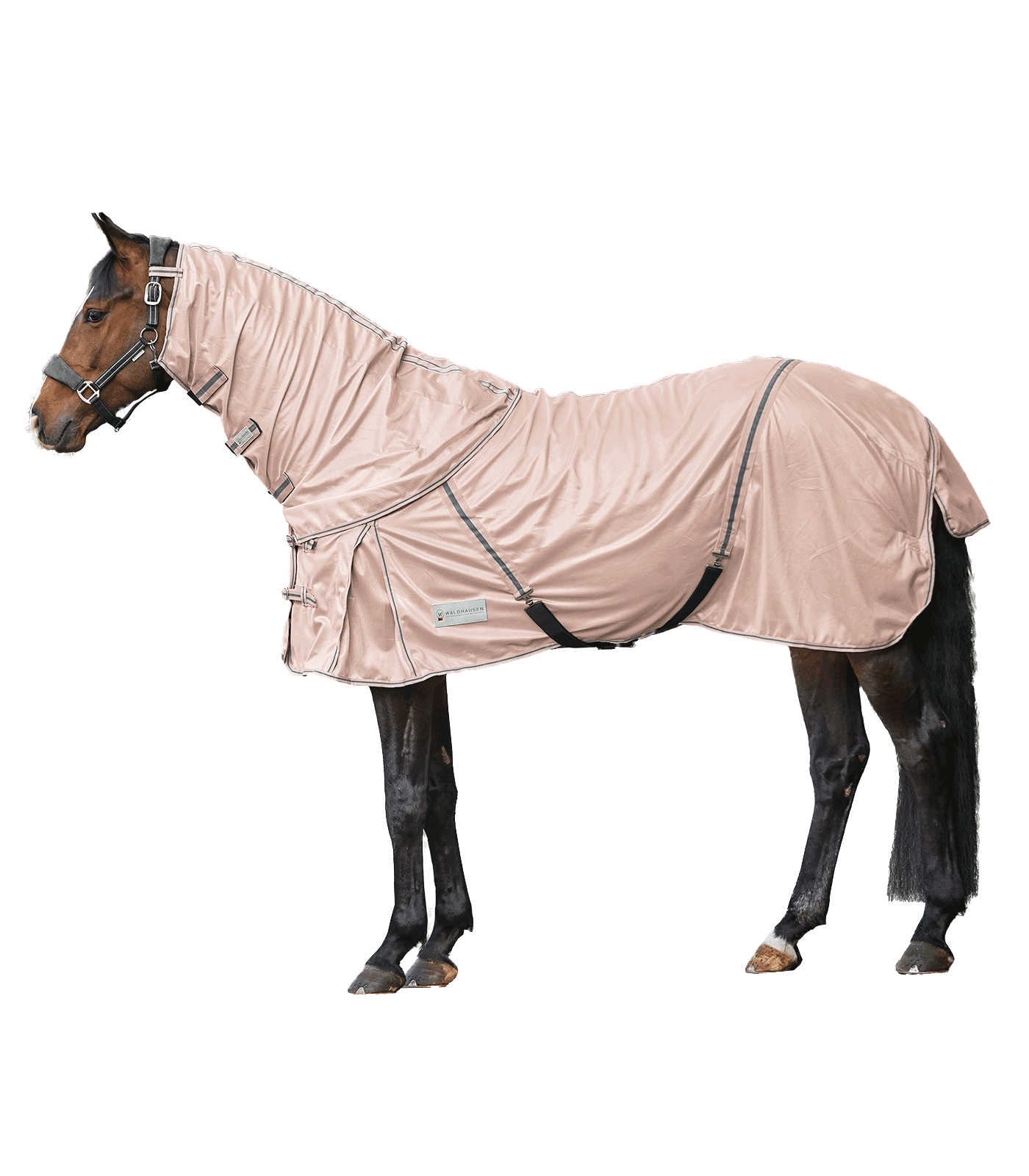 PROTECT Fly Rug featuring a detachable neck part