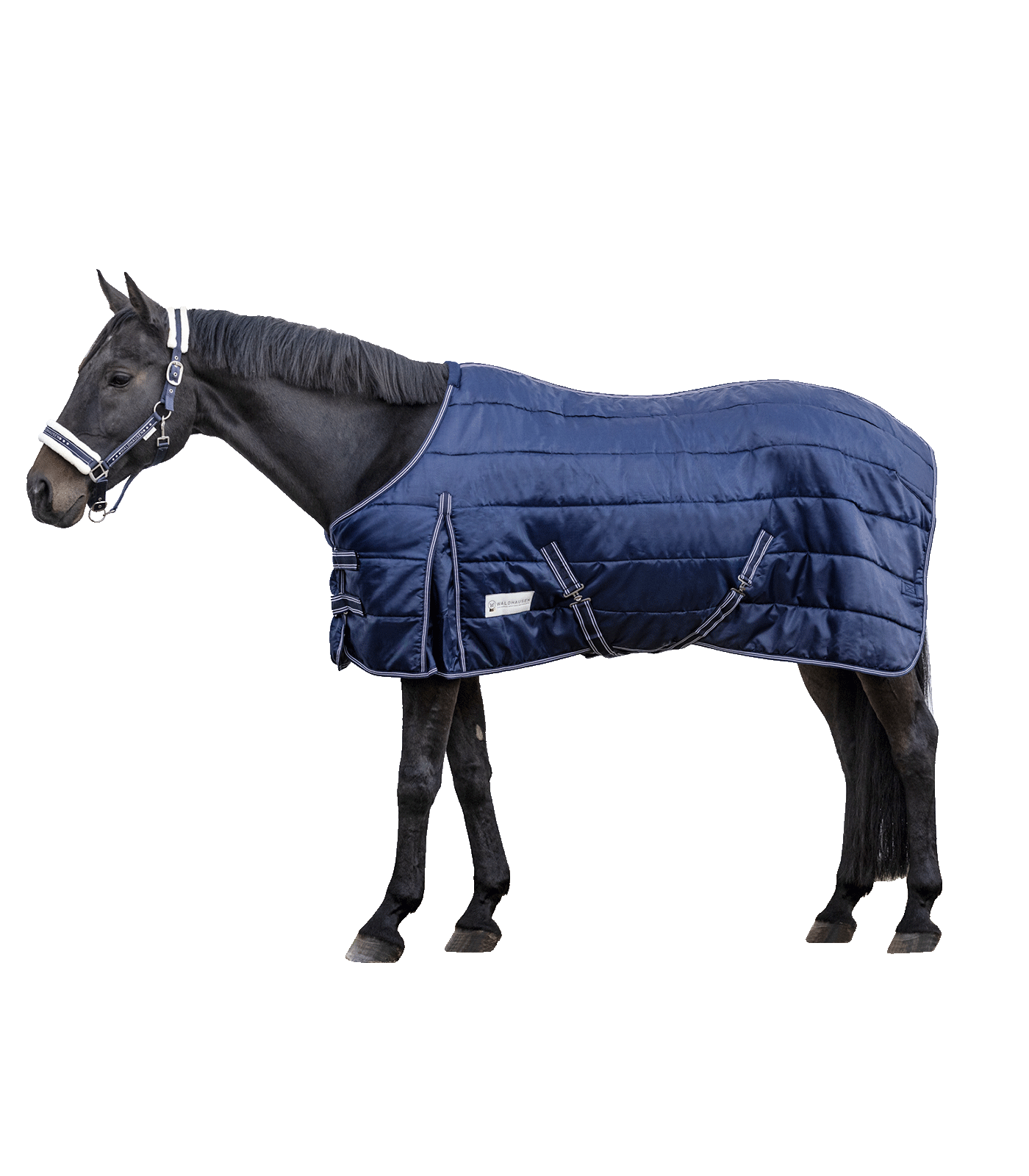 ECONOMIC Stable Rug, 200 g night blue