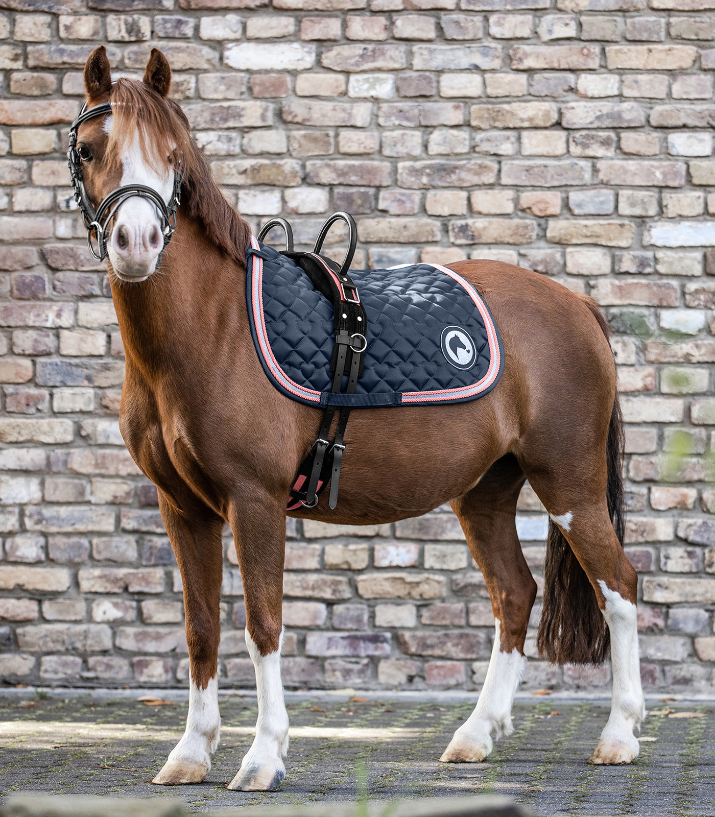 Lucky Saddle Pad