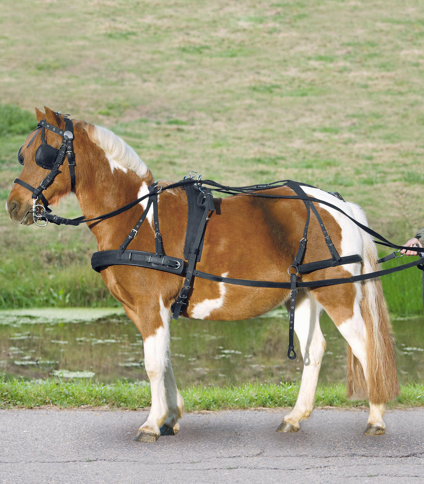 STAR Synthetic Breastplate Single Harness, Pony and Shetty