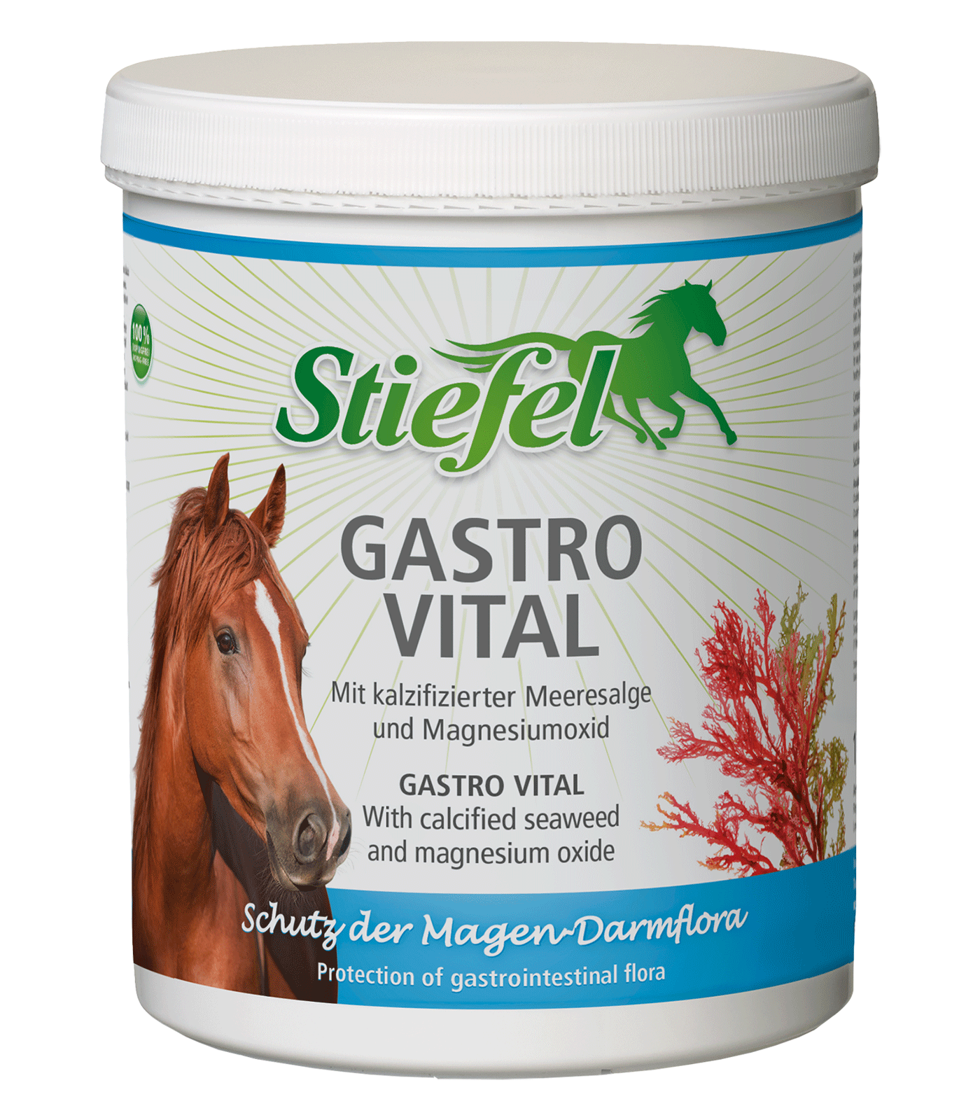 Stiefel Gastro Vital, 1 kg