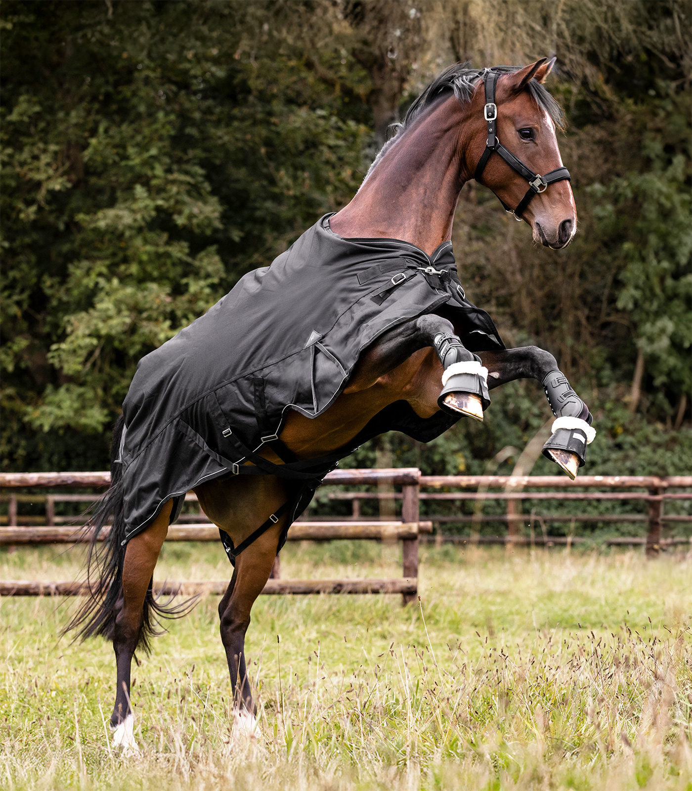 SCANDIC multi-layer turnout rug, 250 g / 100 g