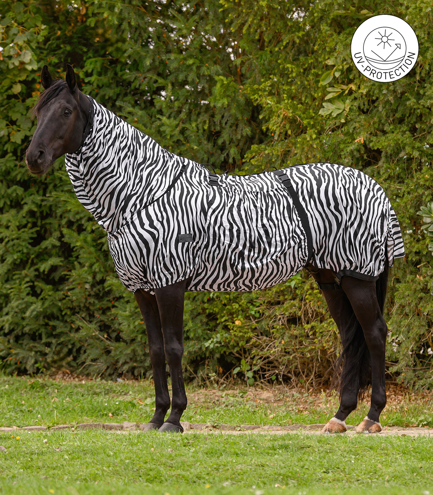 Manta antieczema Zebra Basic