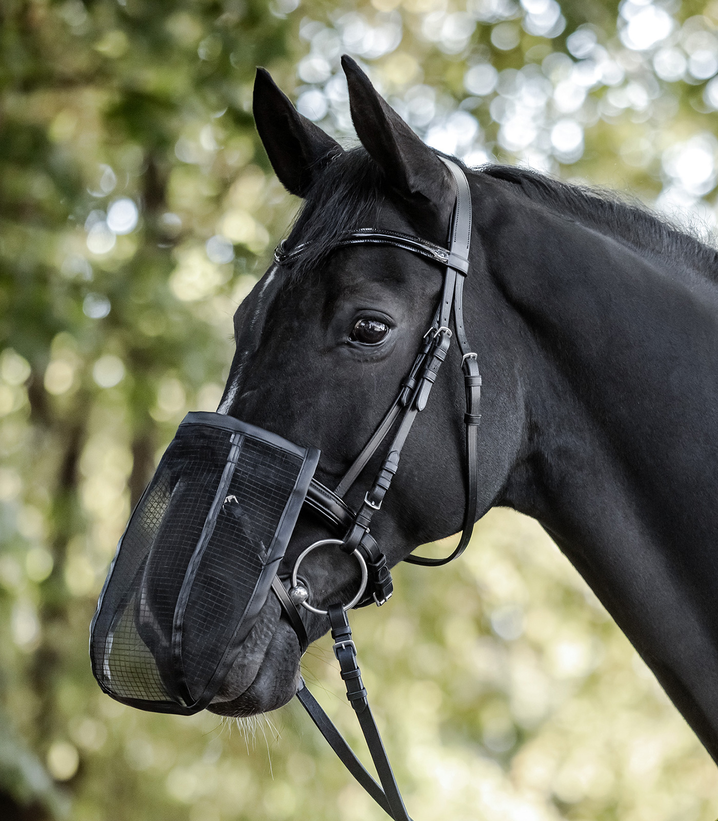 Nose Fly Shield, with UV protection