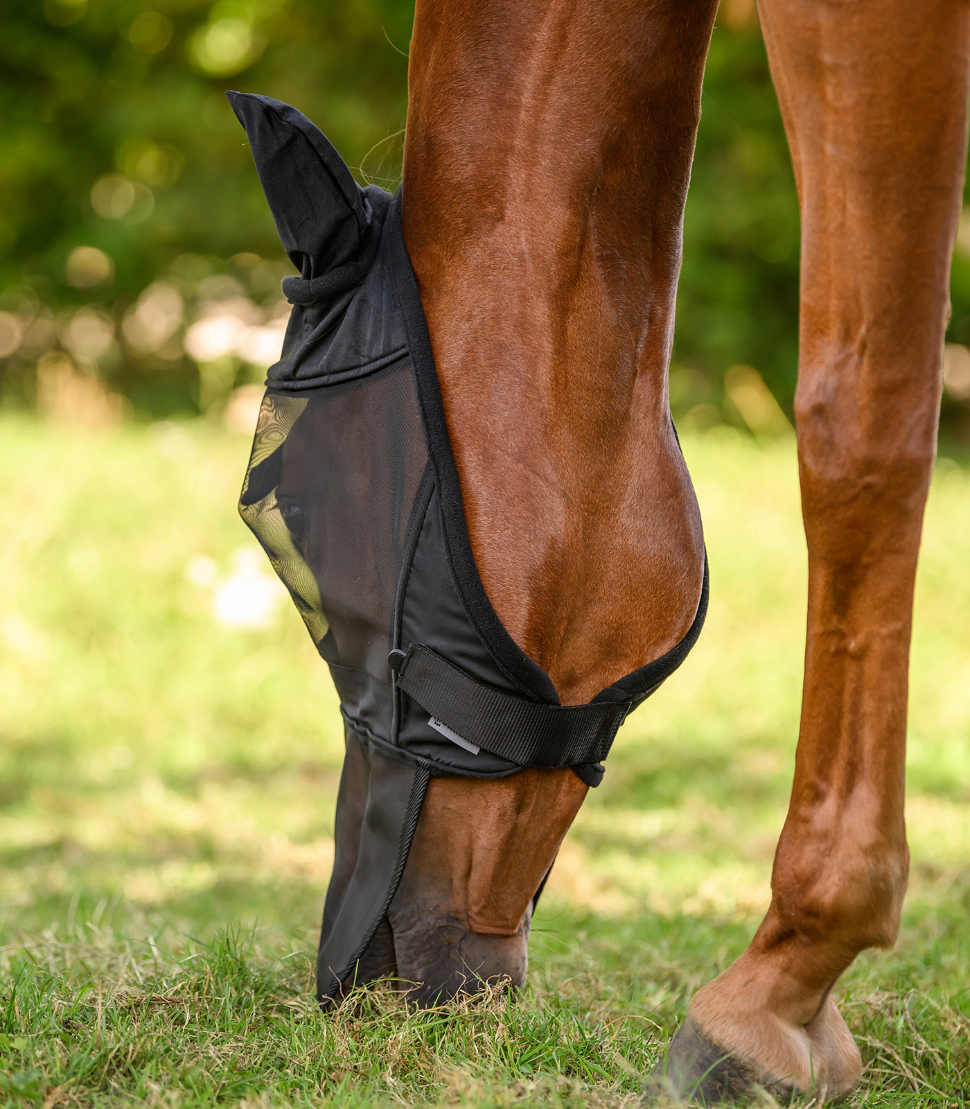 PREMIUM Fliegenmaske mit Ohren- und Nasenschutz PREMIUM Fliegenmaske mit Ohren- und Nasenschutz