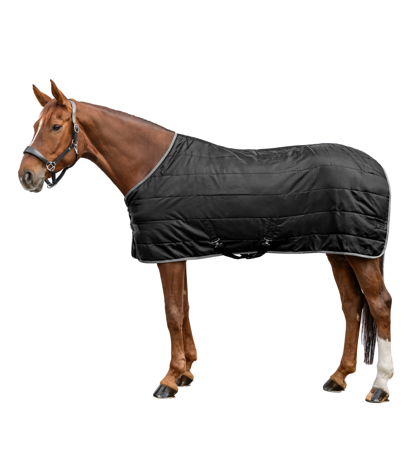 ECONOMIC Stalldecke, 300g schwarz