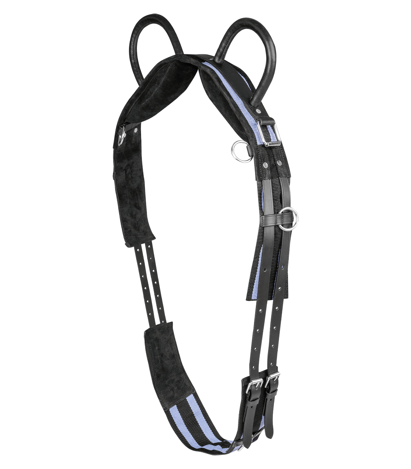 Lunging equipment, groundwork accessories get information online